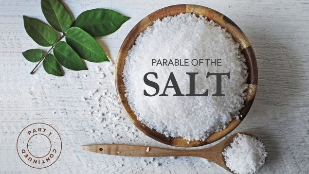 Parable Of Being The Salt – Continued