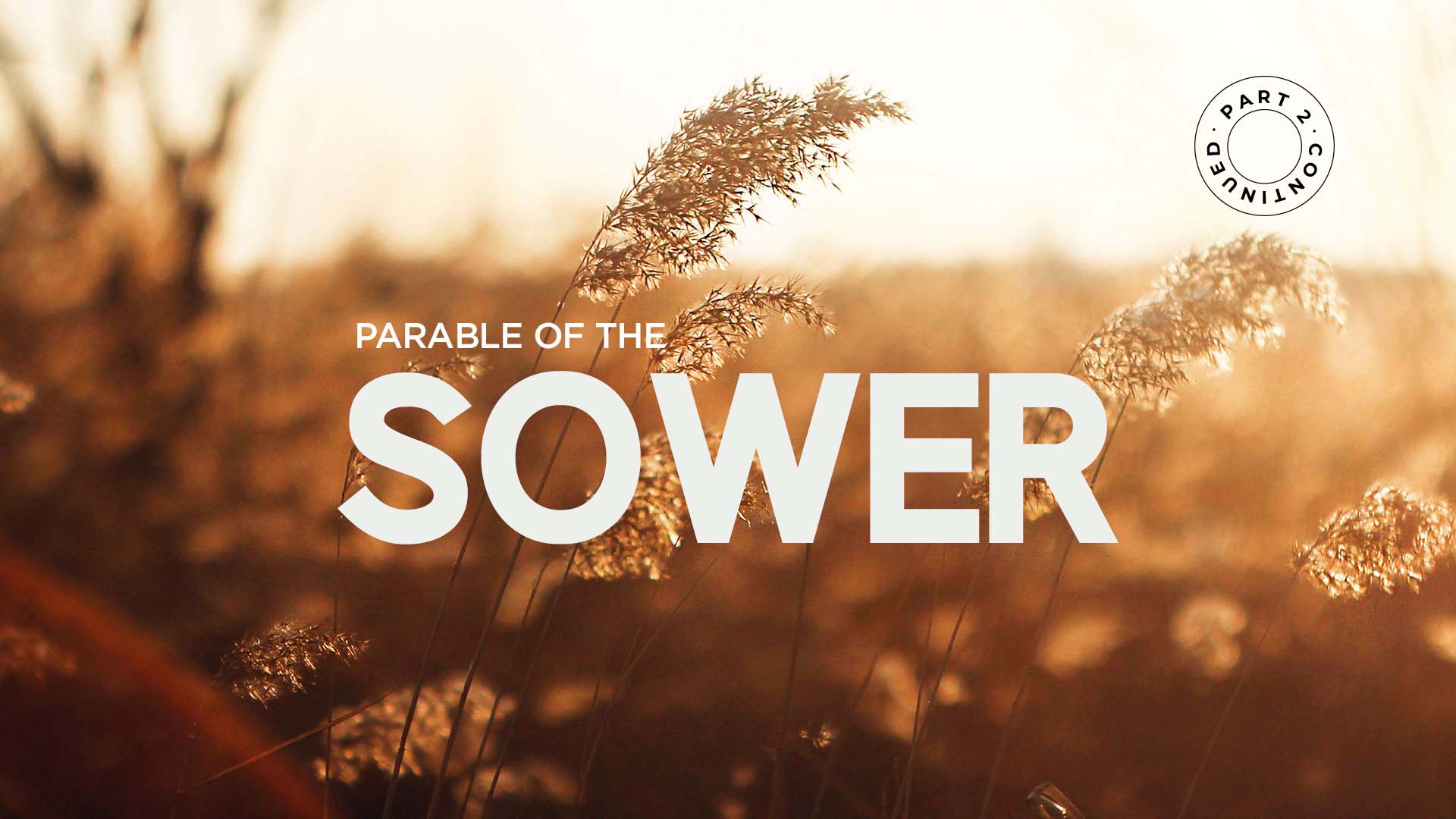 Parable Of The Sower – Part 2 Continued