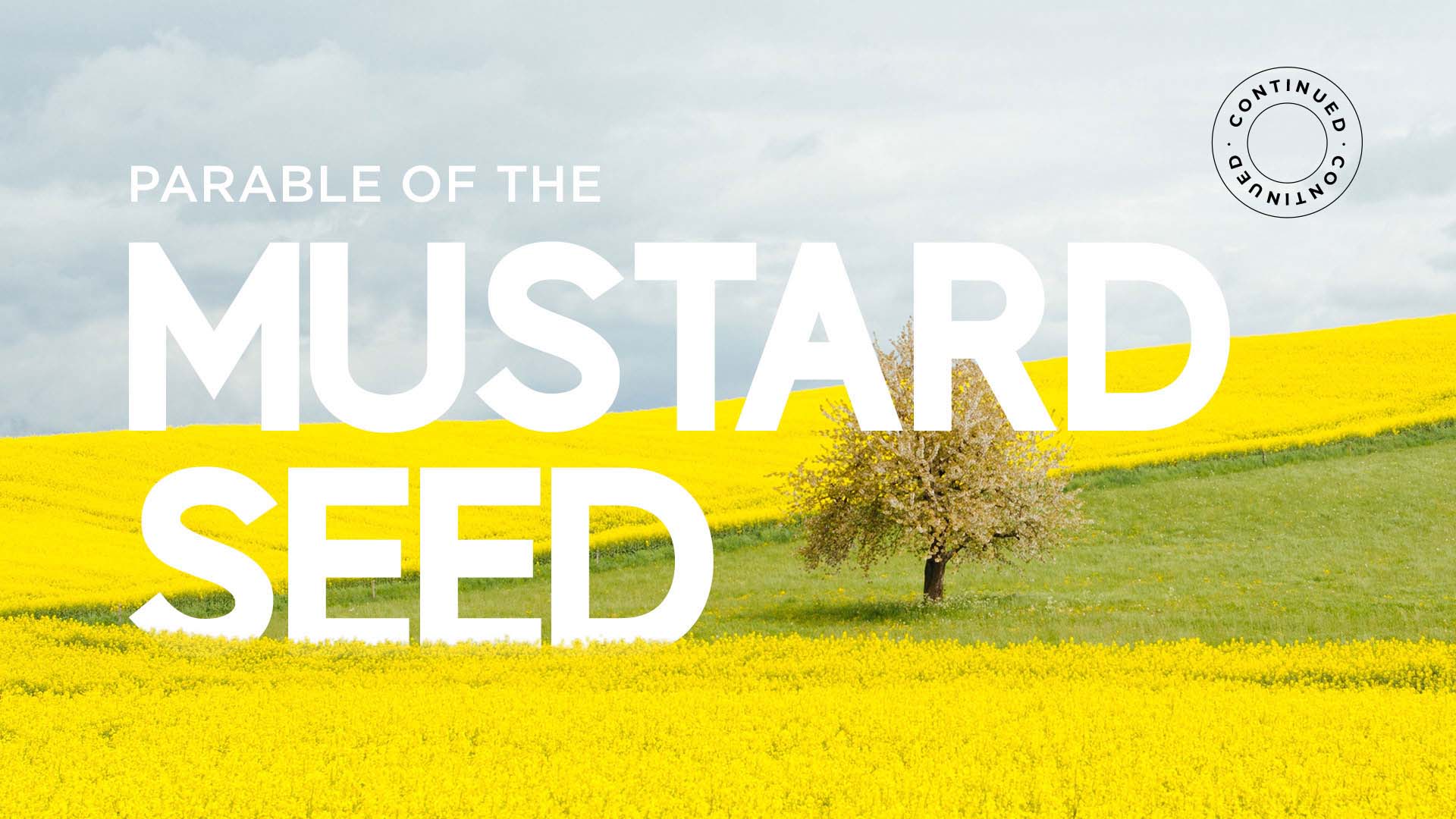 Parable Of The Mustard Seed – Continued