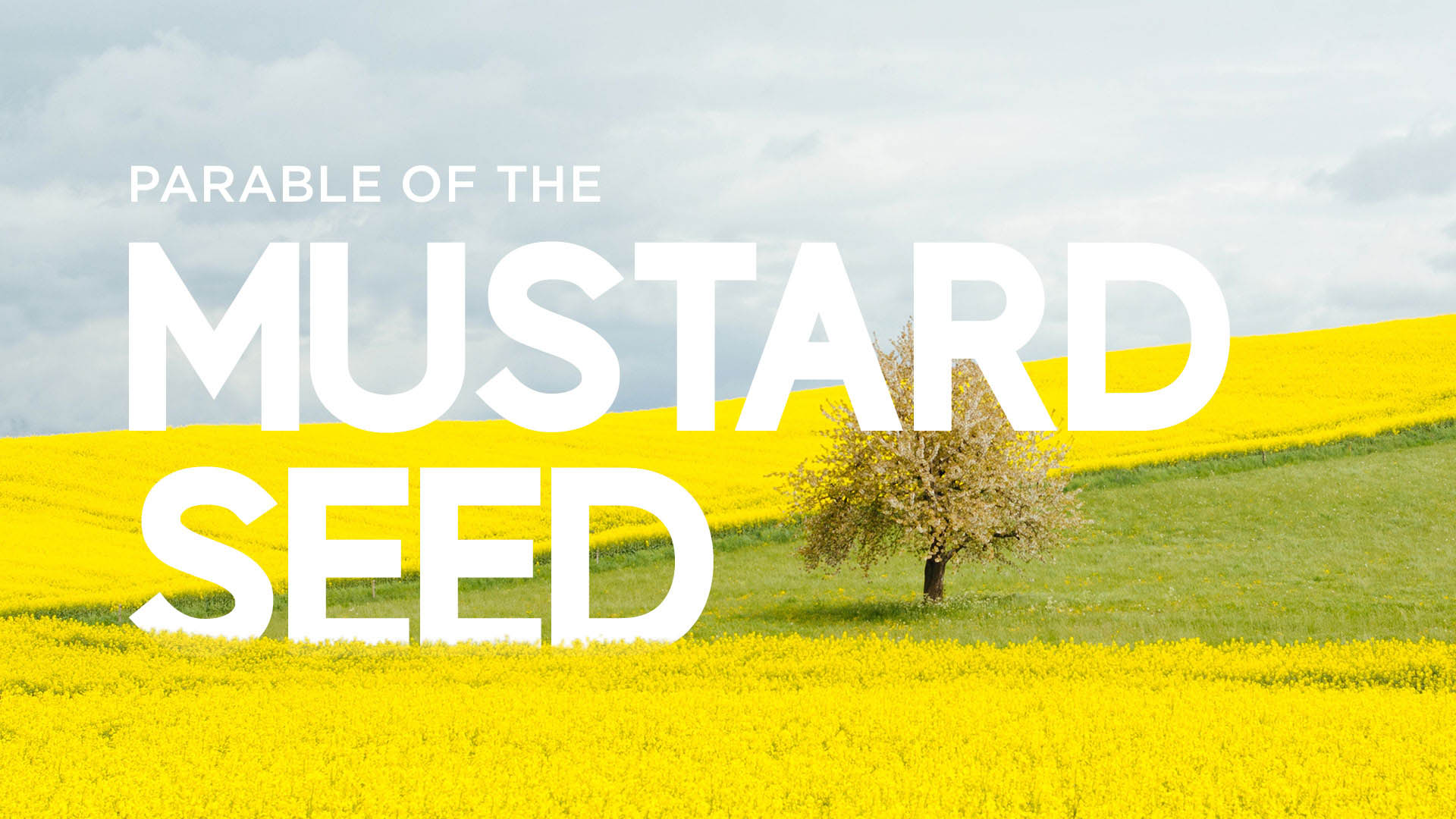 Parable of the Mustard Seed