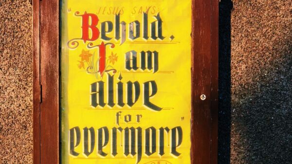 brown and yellow wall decr