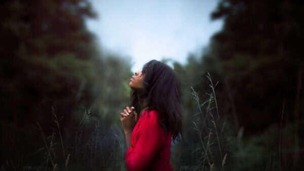woman wearing red sweatshirt looking at top between trees near grass during daytime