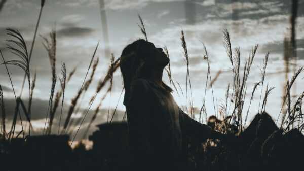 woman sits on grass during dawn