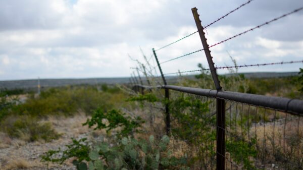 black metal fence with barbed wire