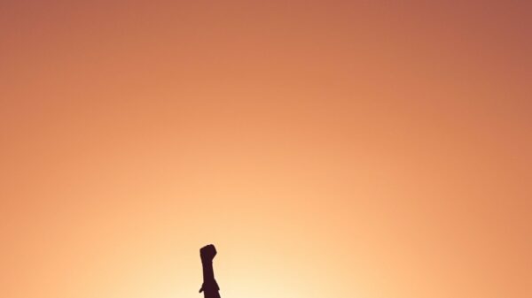 silhouette of personr