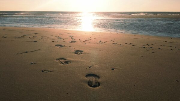 foot print on sand