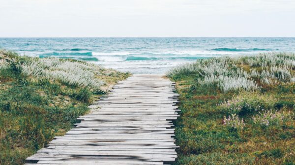 brown wooden dock in fornt body of water