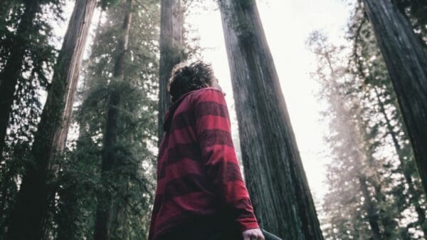 man standing at forest