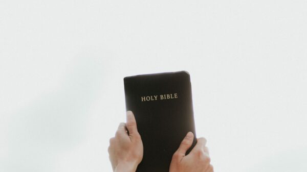 person holding Holy Bible