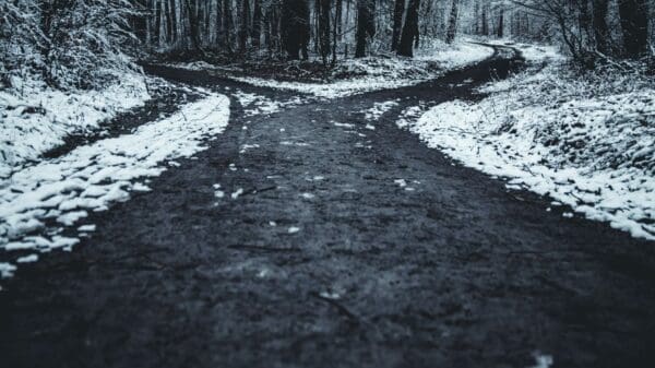 landscape photography of splitted road surrounded with trees