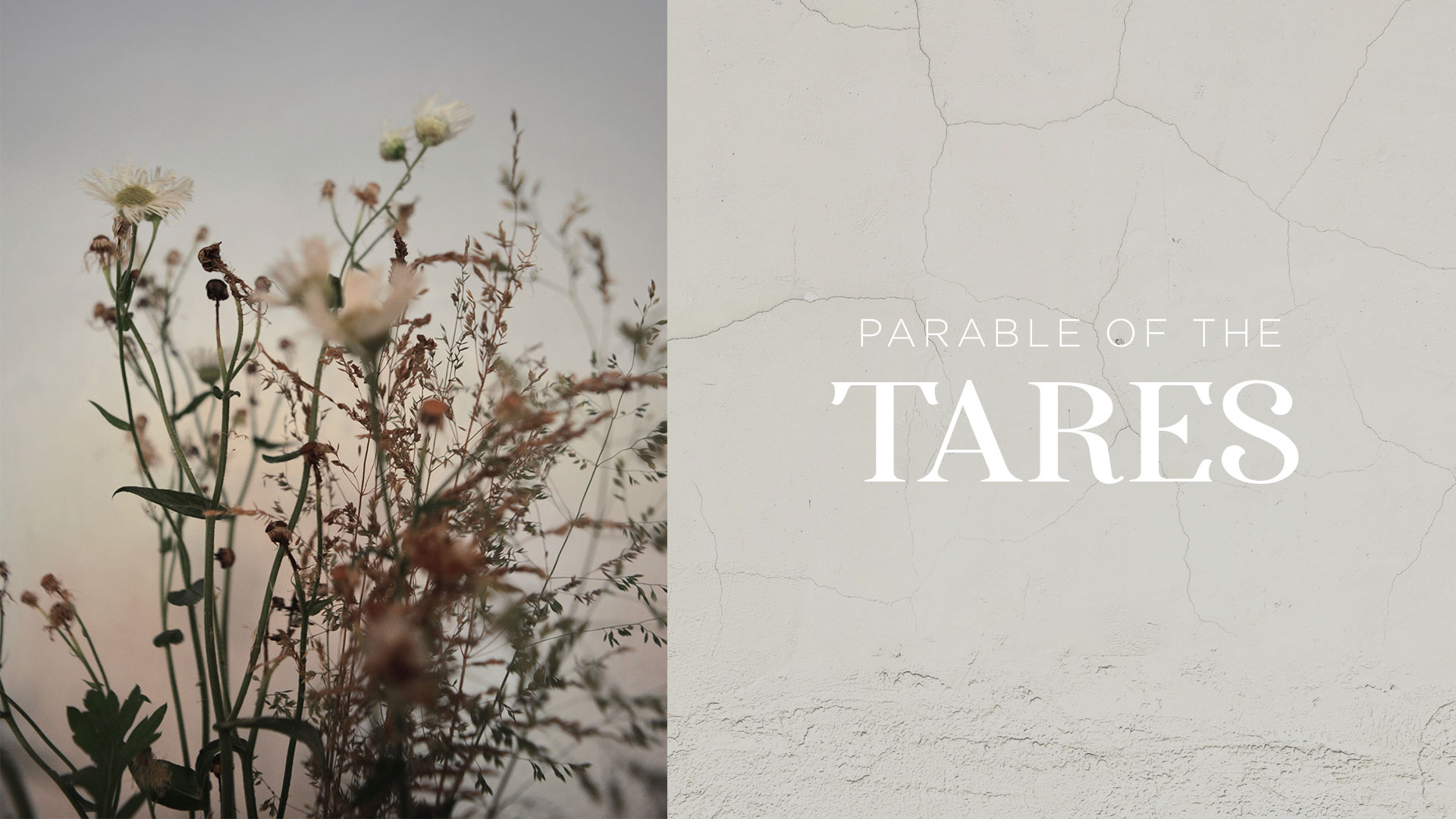 Parable Of The Tares