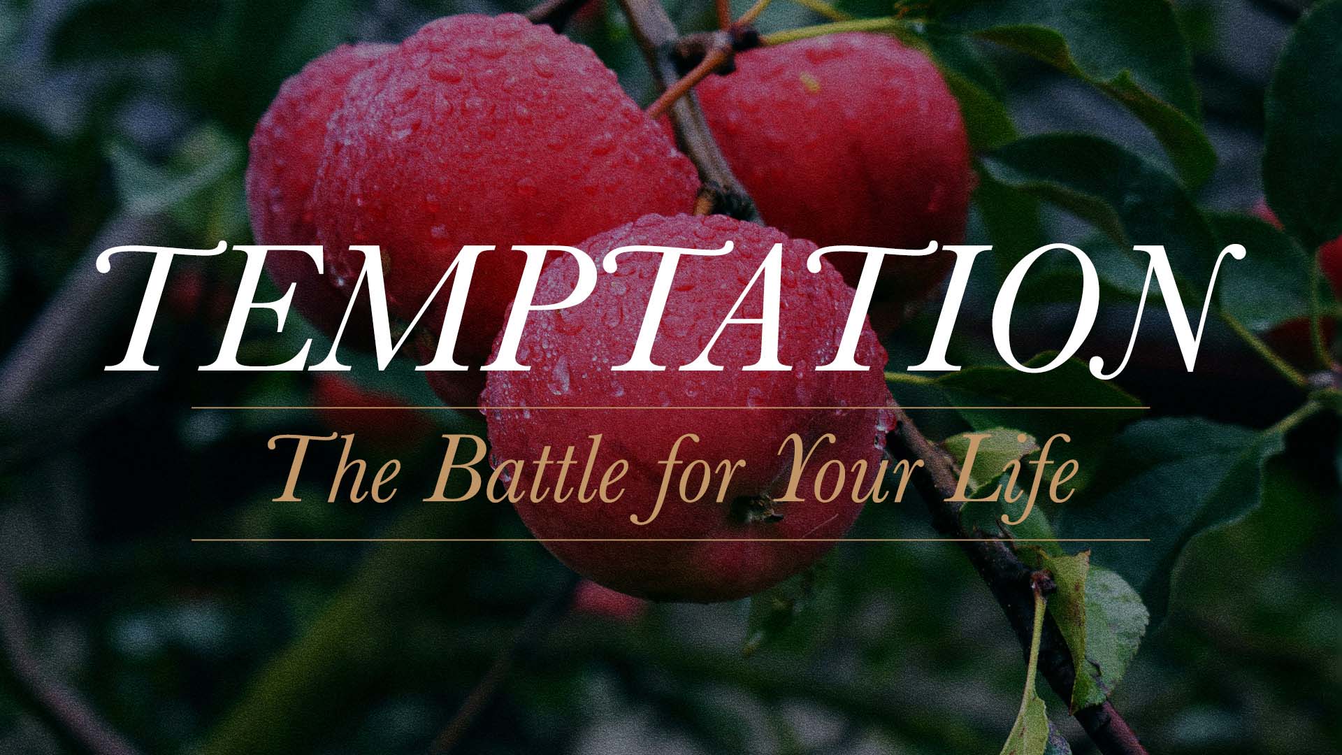 Temptation: The Battle For Your Life