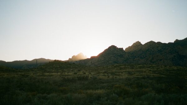 green grass field during daytime