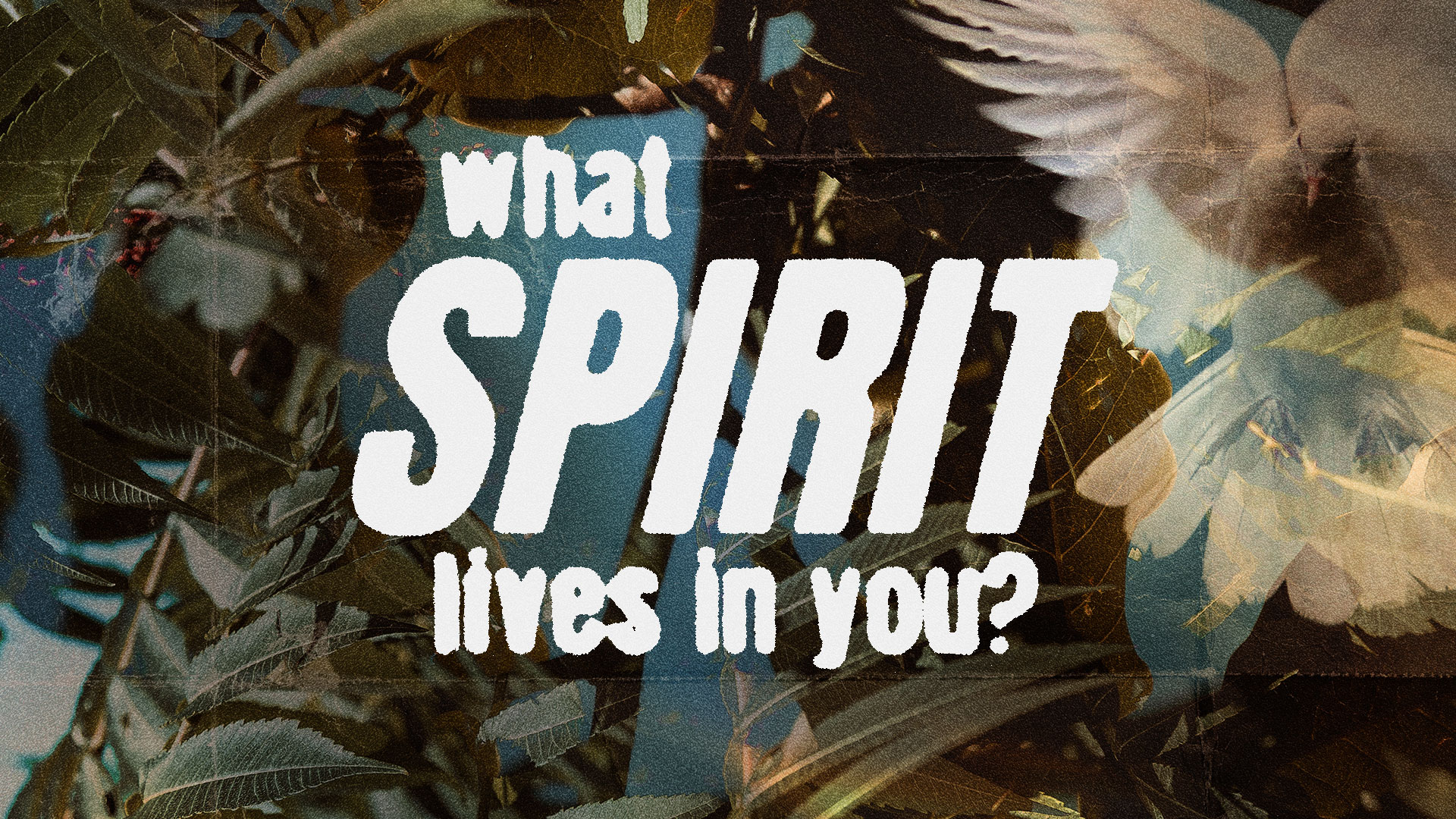 What Spirit Lives In You?