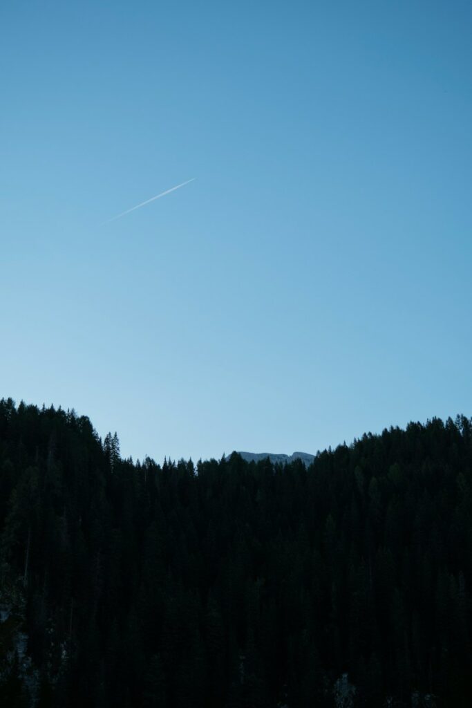 a plane flying in the sky over a forest
