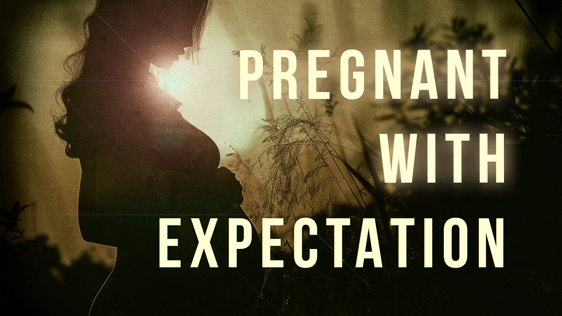 Pregnant With Expectation