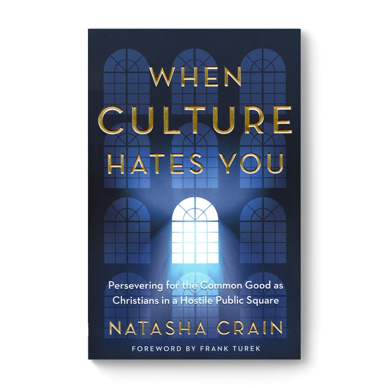 When Culture Hates You - Website